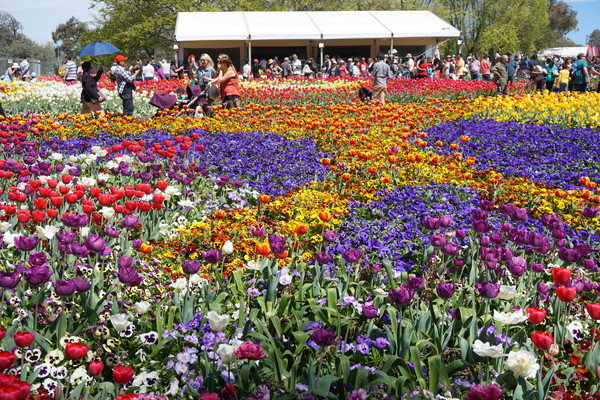 花の祭典フロリアードの醍醐味