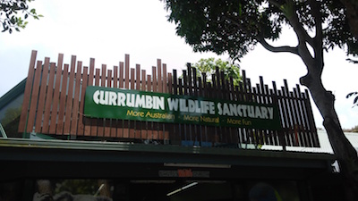 ブリスベン日記9