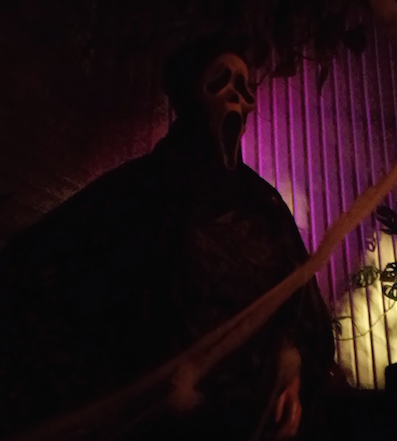 ハロウィン庭先2