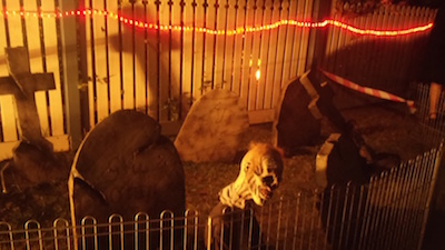 ハロウィン庭先