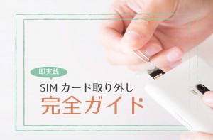 20160129_sim