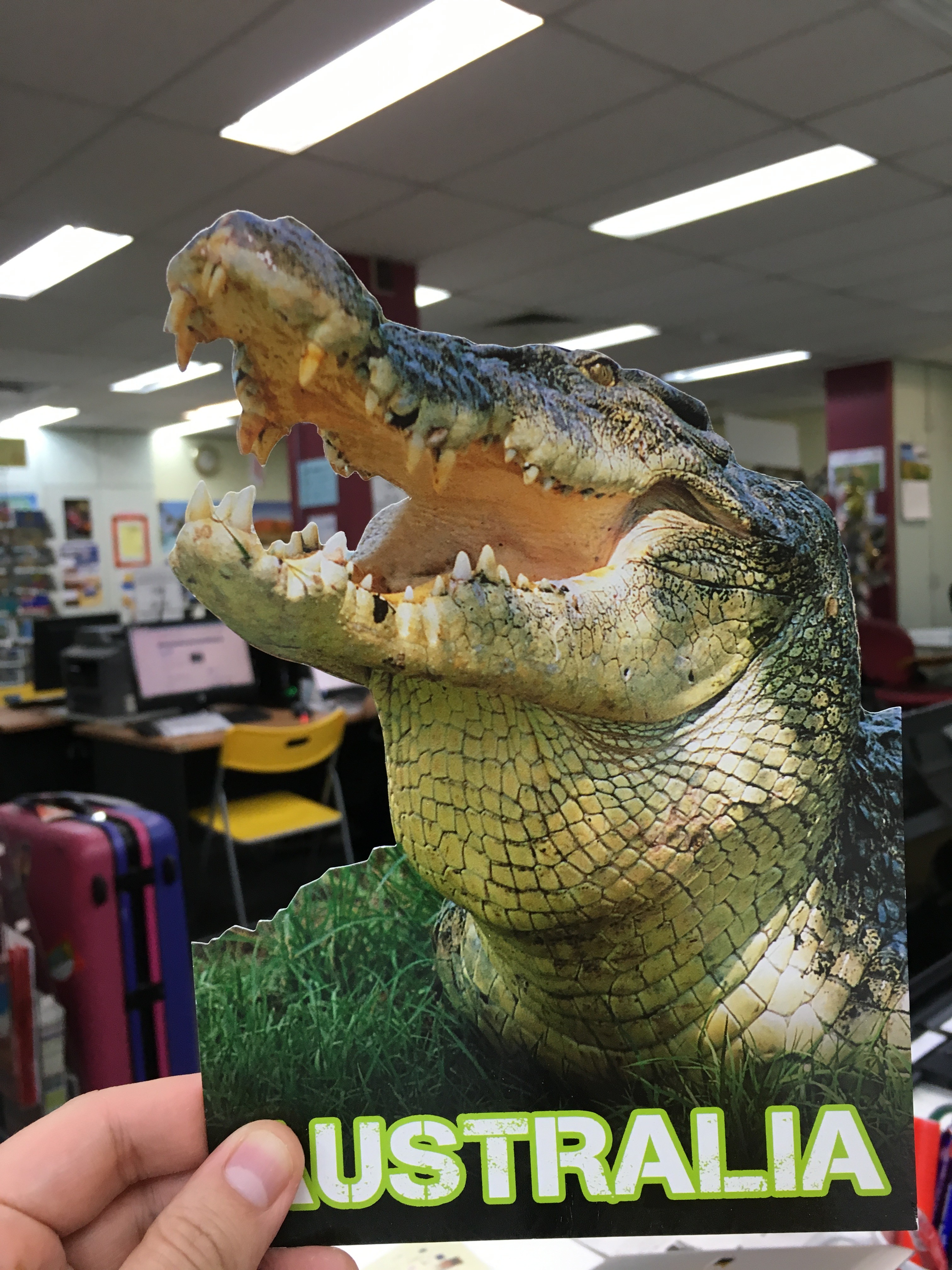 オーストラリアの売れない絵葉書