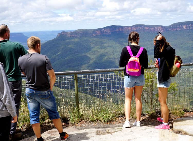 ブルーマウンテン英語ツアー