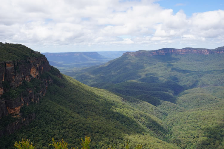 世界遺産ブルーマウンテン