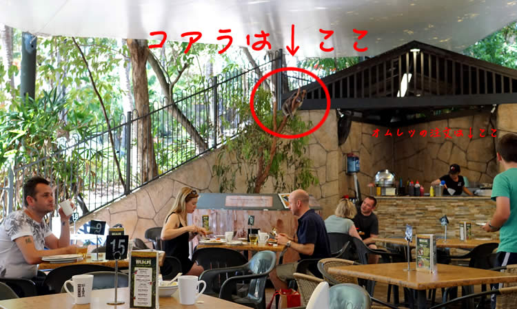 コアラカフェ