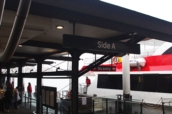 クジラクルーズ