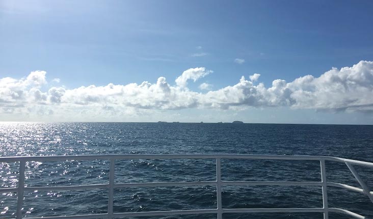 遠くに見えるフランクランド島。波は穏やか。