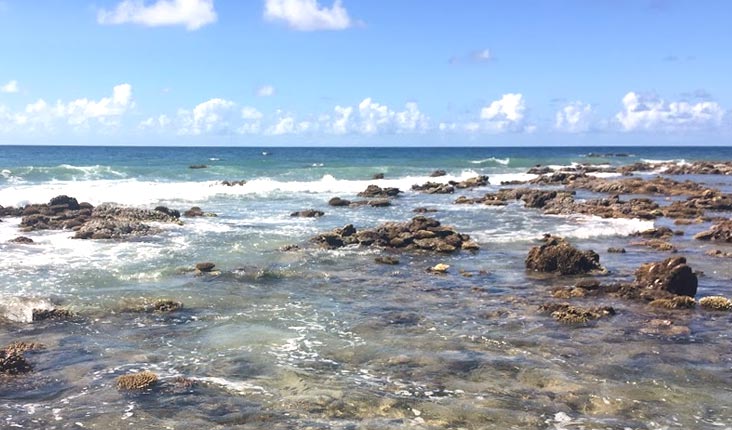 引き潮で現れた珊瑚礁