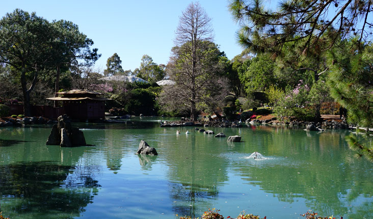 garden