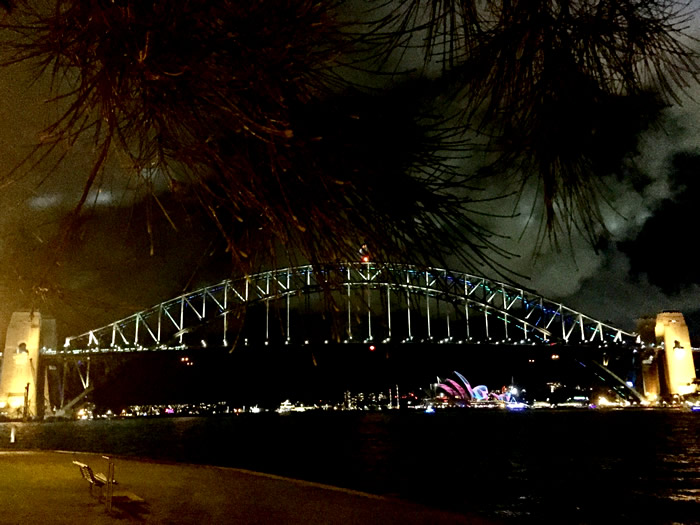 vividbridge