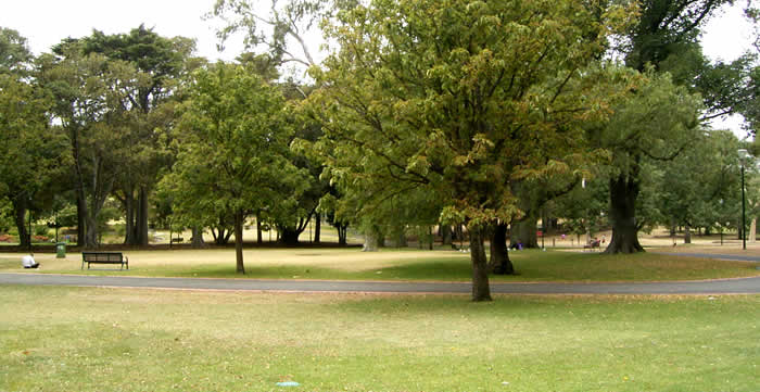 garden